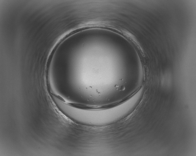 X0000052651288200507011403