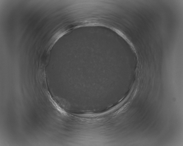 X0000052651289200507011403