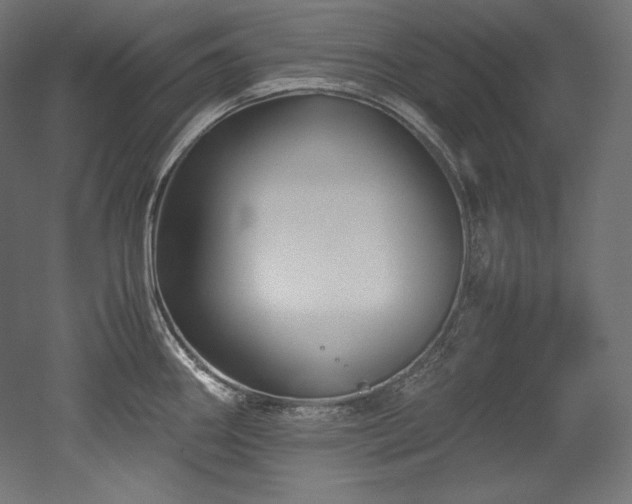 X0000052651290200507011402