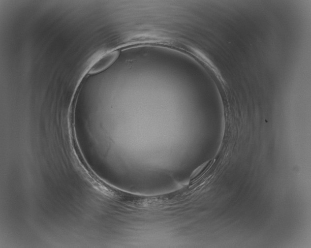 X0000052651291200507011402