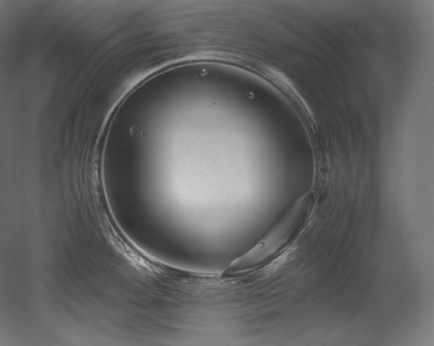 X0000052651292200507011402