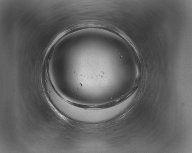 X0000052651293200507011402