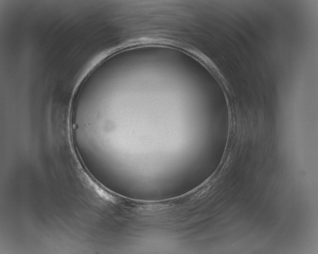 X0000052651294200507011402