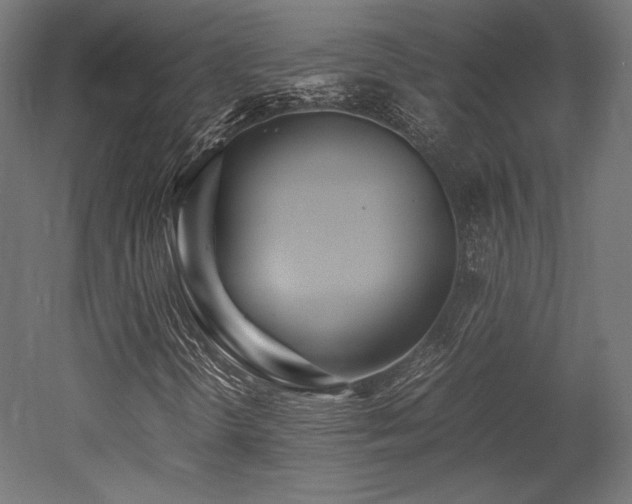 X0000052651298200507011402