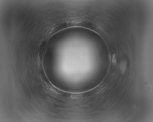 X0000052651299200507011402