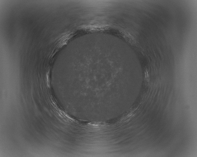 X0000052651300200507011402