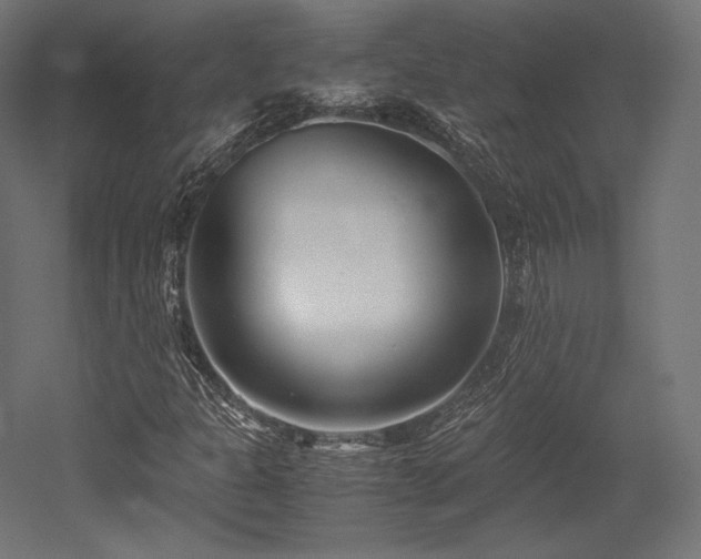 X0000052651301200507011402