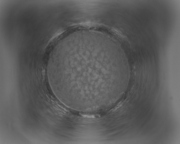 X0000052651302200507011402