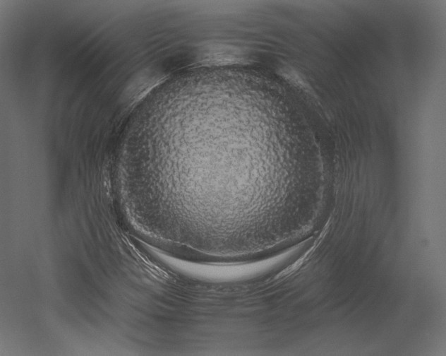 X0000052651305200507011402