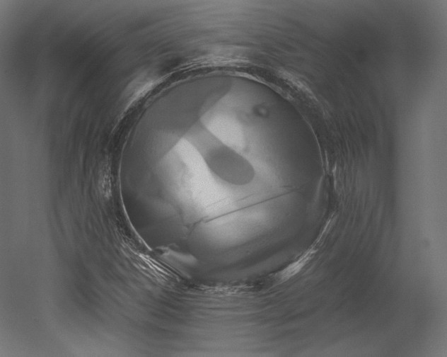 X0000052651306200507011402