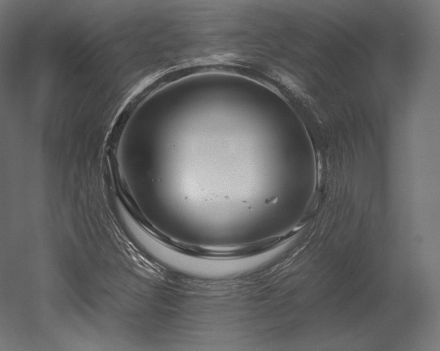 X0000052651308200507011402