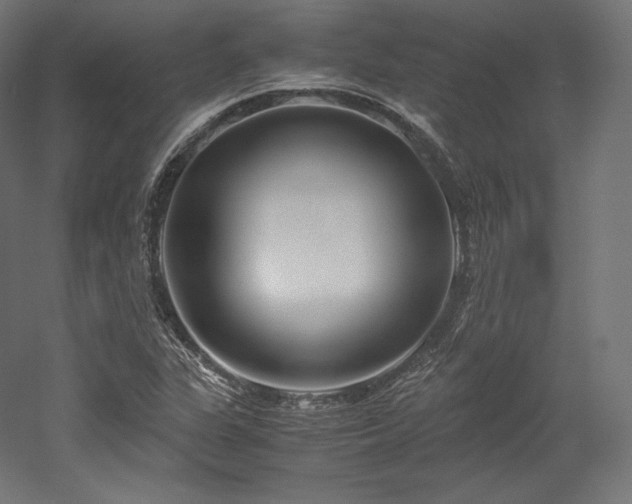 X0000052651311200507011402