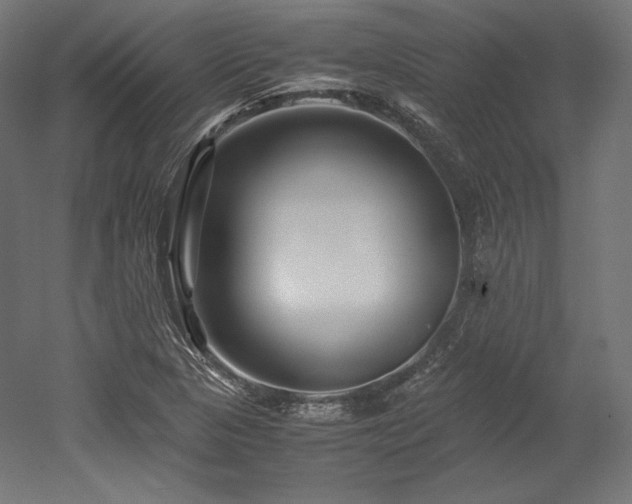 X0000052651313200507011402