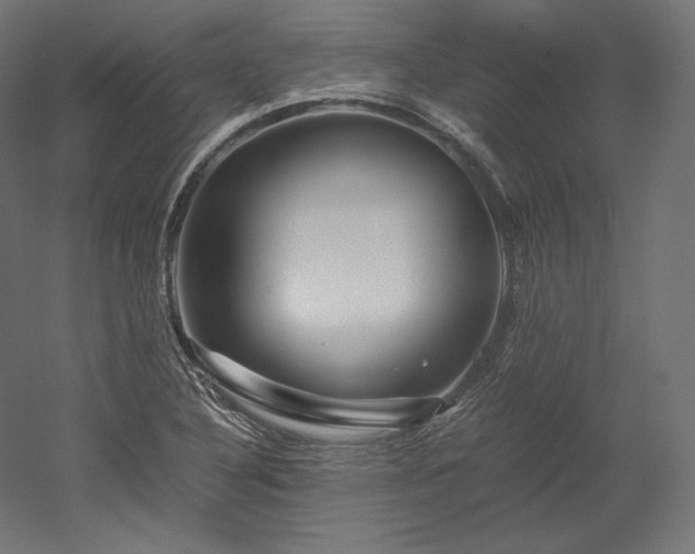 X0000052651316200507011402