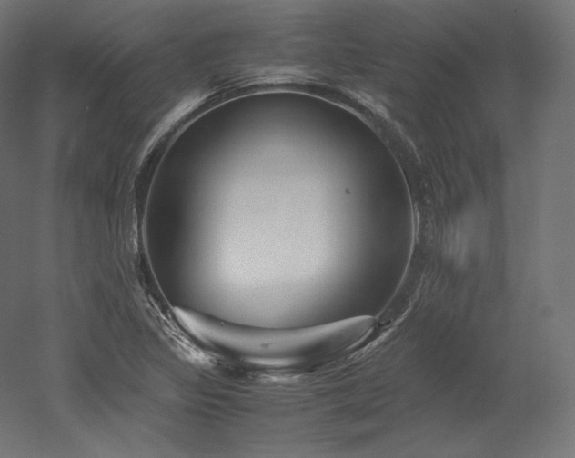 X0000052651317200507011402