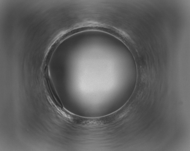 X0000052651318200507011402