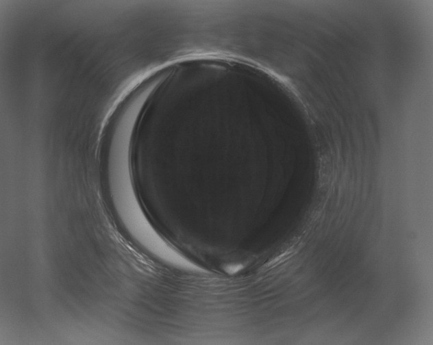 X0000052651319200507011402