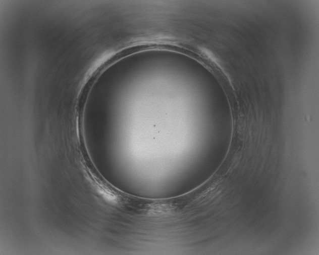 X0000052651320200507011402
