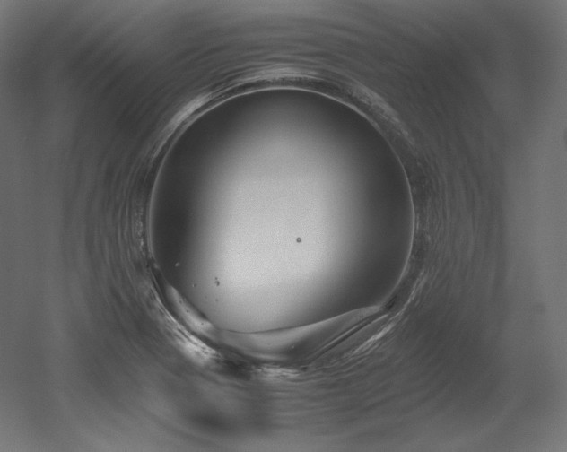 X0000052651321200507011402