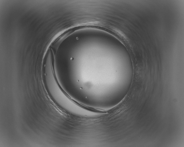 X0000052651324200507011402