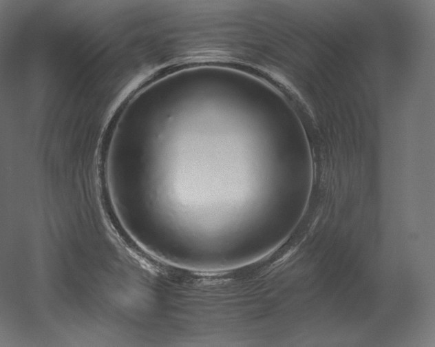 X0000052651325200507011402