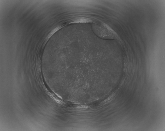 X0000052651329200507011402