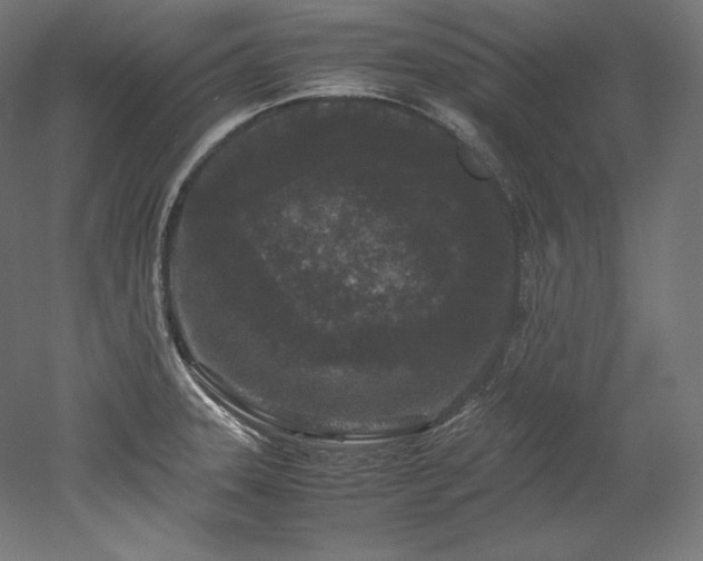 X0000052651331200507011402