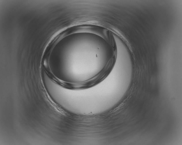 X0000052651332200507011402
