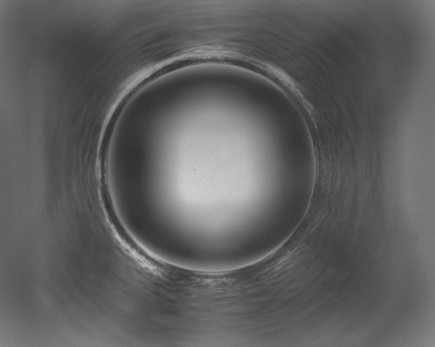 X0000052651335200507011402