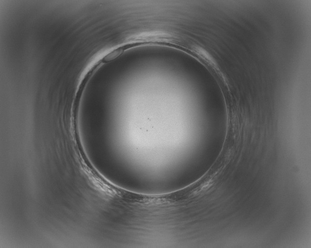 X0000052651336200507011402