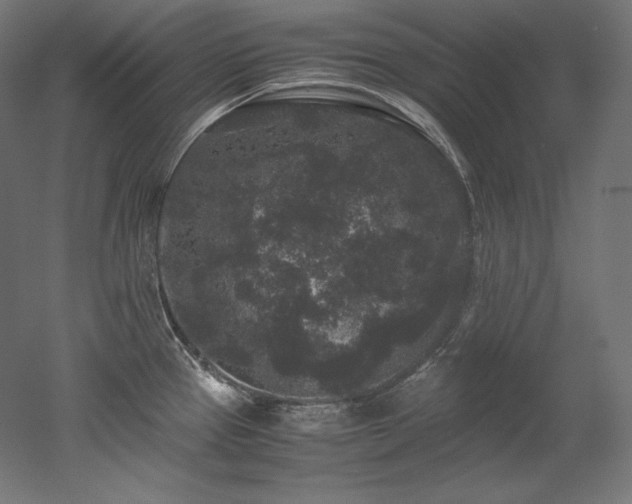 X0000052651337200507011402
