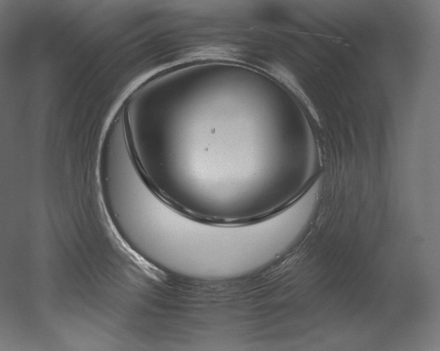 X0000052651339200507011402