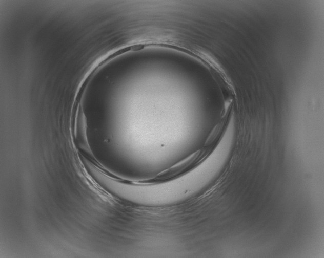 X0000052651340200507011402