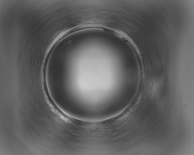 X0000052651341200507011402