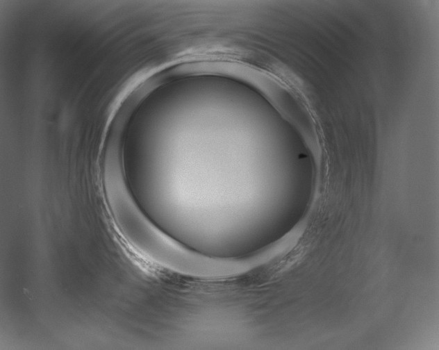 X0000052651344200507011402