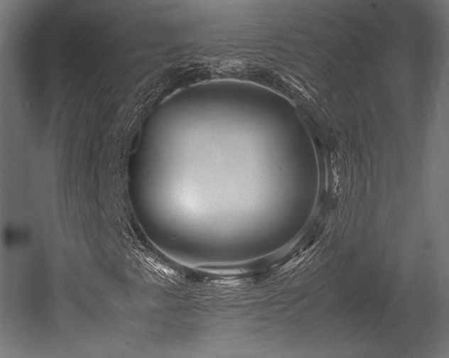 X0000052651345200507011402