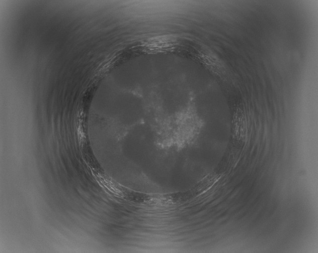 X0000052651346200507011402