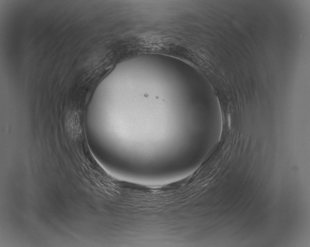 X0000052651347200507011402
