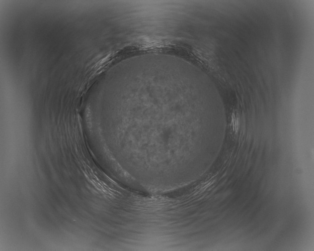 X0000052651348200507011402