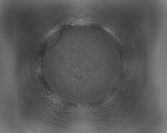 X0000052651350200507011401