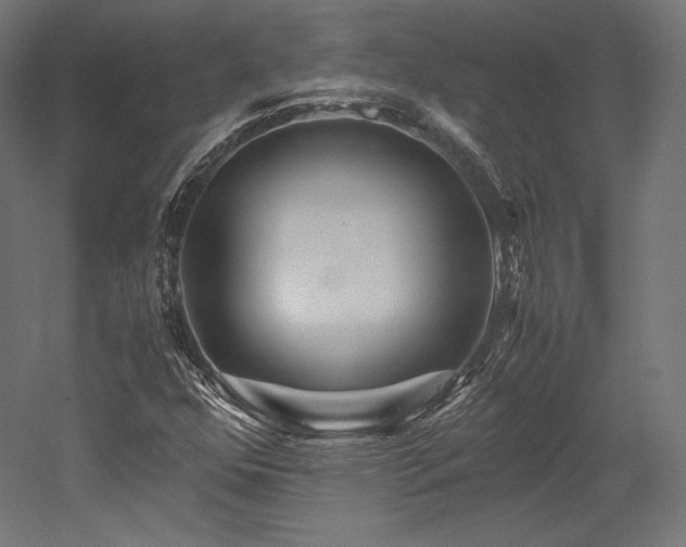X0000052651352200507011401
