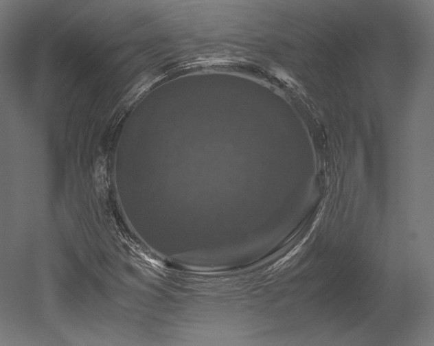 X0000052651353200507011401