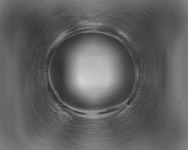 X0000052651354200507011401