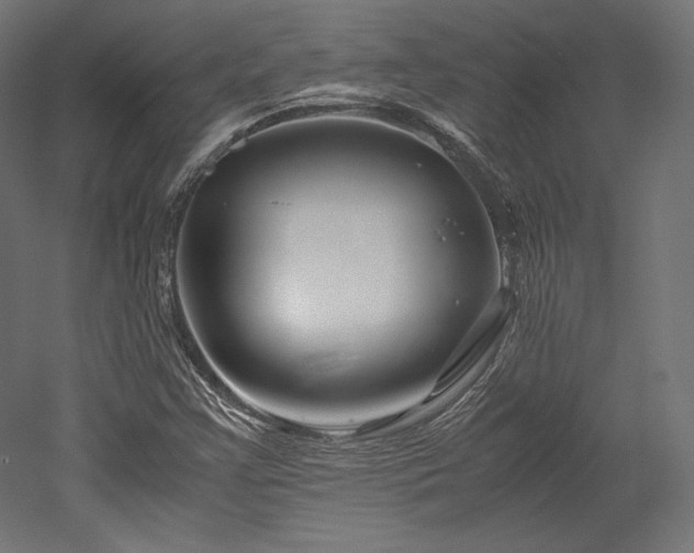 X0000052651355200507011401