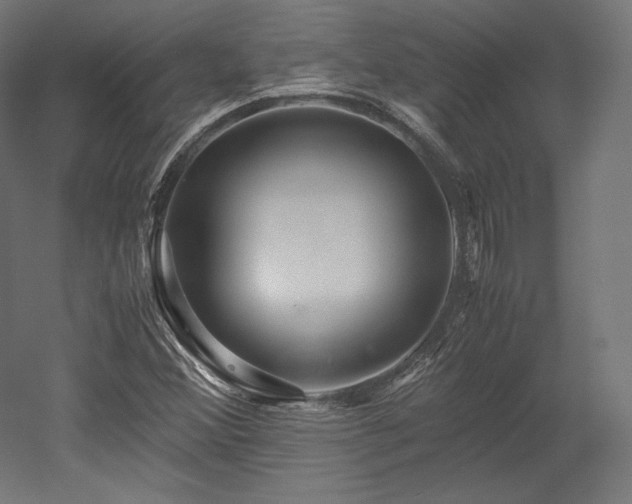 X0000052651356200507011401