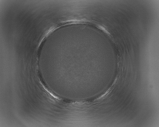 X0000052651357200507011401