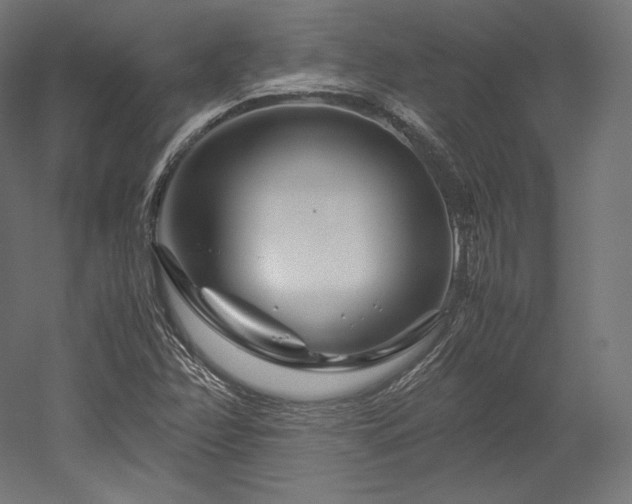 X0000052651358200507011401