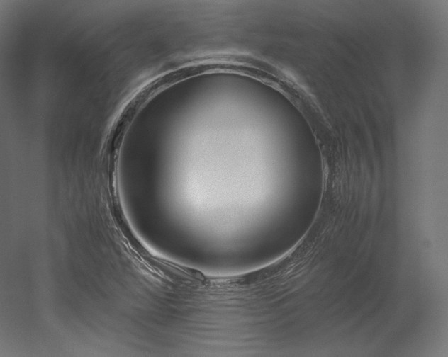 X0000052651360200507011401