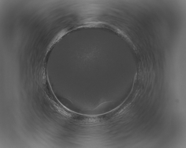 X0000052651362200507011401