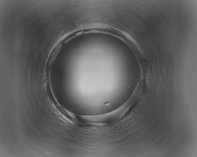 X0000052651364200507011401
